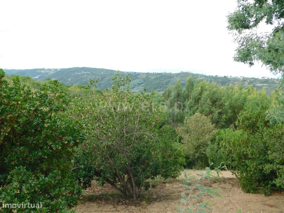 Terreno / Seia, Vila Cova à Coelheira