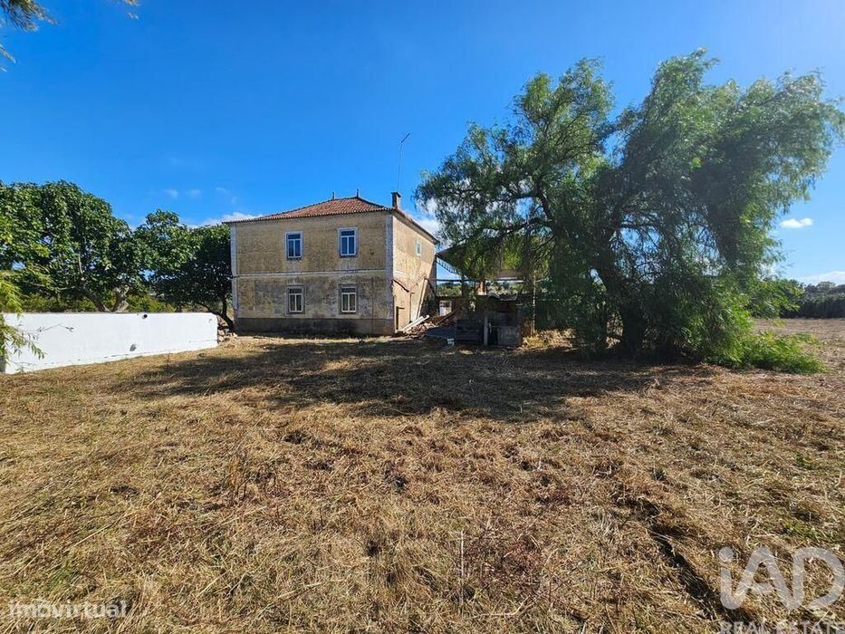 Quinta T3 em Torres Novas (Santa Maria, Salvador e Santiago) de 244 m2