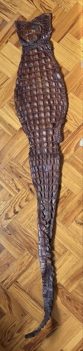 Vintage Crocodile/Alligator Rare Skin (c. 1930) – 160 cm – Original Wall Mounting