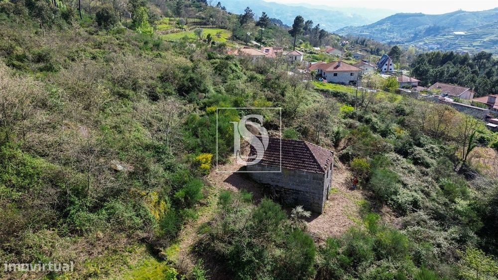 Quinta T2+1 Venda em Gestaçô,Baião