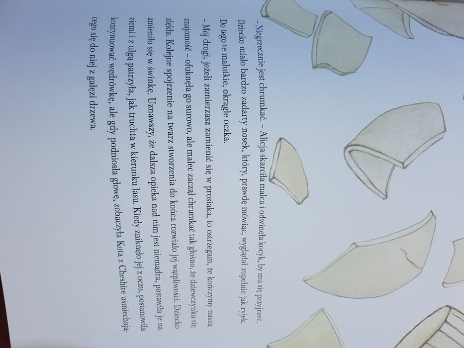 Książka Alicja w Krainie Czarów artystyczne wydanie