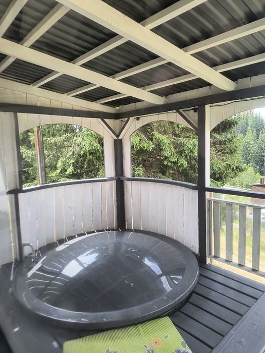 Відпочинок в Карпатах Mountain Dew