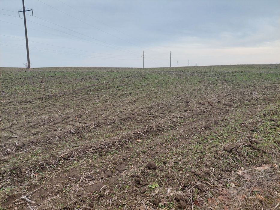 Продам фасадний пай 2.5 гектара Колоденкая