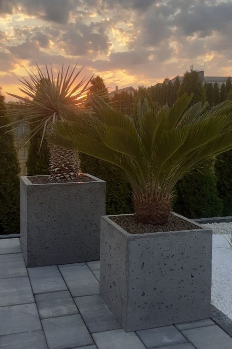 Donica betonowa 50x50x50 Hercules donice betonowe, architektoniczne.