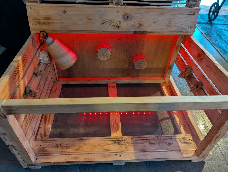 Terarium dla żółwia lądowego, iguany itp.