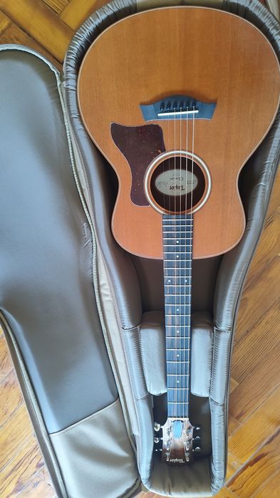 Taylor Gs-Mini Mahogany
