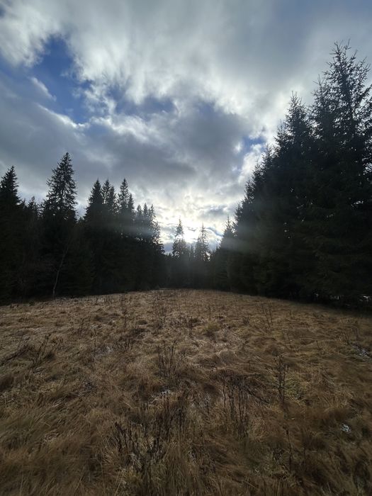Остання ділянка біля Говерли | 10 соток
