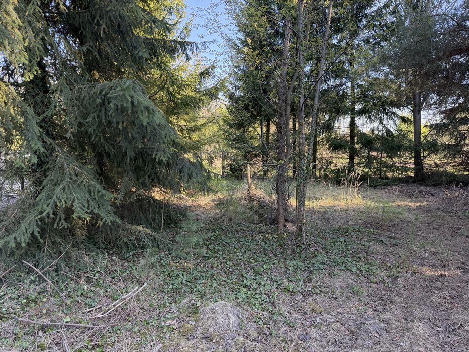 Działka rekreacyjna 914 m² z bezpośrednim dostępem do rzeki Rządzy – Załubice Nowe, okolice Zalewu Zegrzyńskiego - Więcej