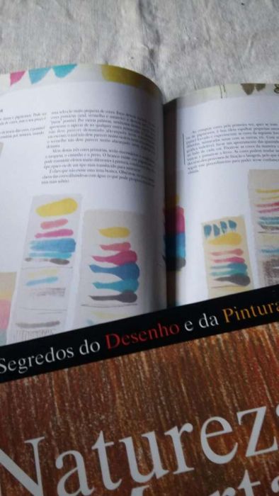 Pintura sobre seda- Segredos do Desenho e Pintura