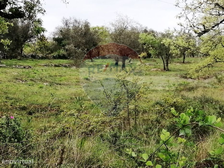 Terreno  para venda — Espinhal, Coimbra