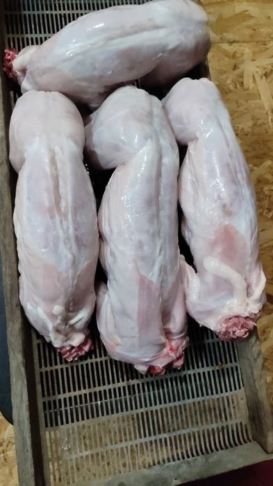 М'ясо кролика ніяких вакцин і хімії