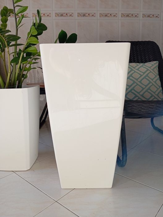 Planta + vaso - altura: 1m