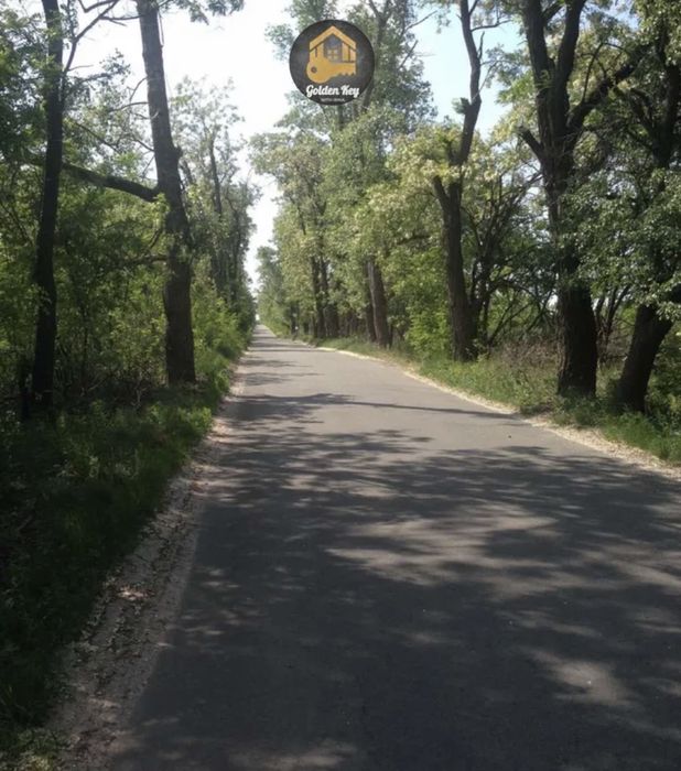 Продам Земельну Ділянку 16 соток , Серед Сосен , біля  котеждного містечка Северинівка , 22 км Київ