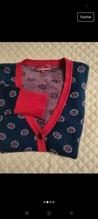 Cardigan Lion of Porches S