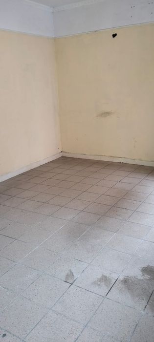 Usługi wycinki drzew krzaków i prac ogrodowych
