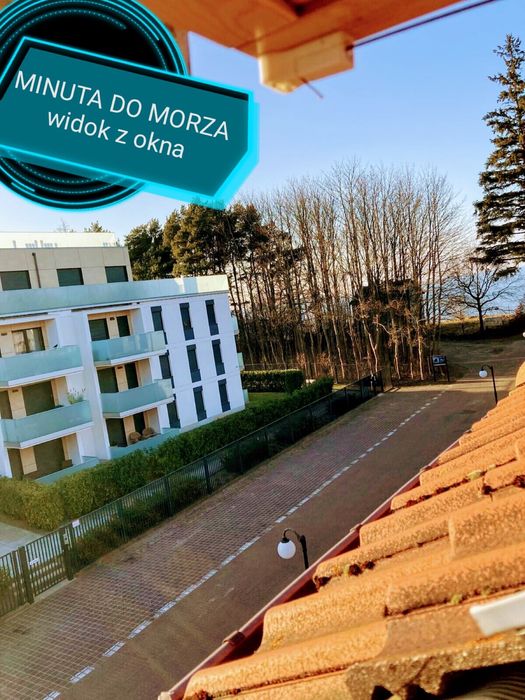 Tanio Wynajem Pokoju nad morzem, przy plaży Pokój z aneksem basenem