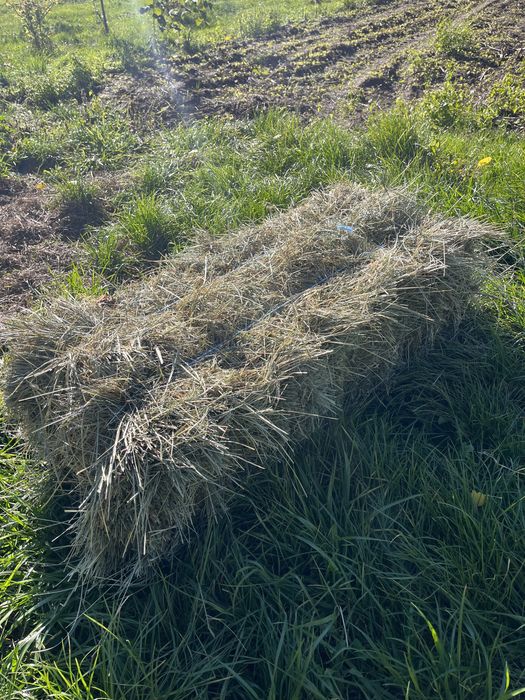 Продам тюки , сіно-солома