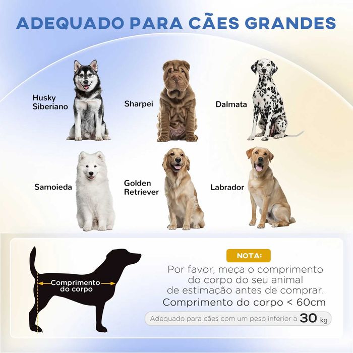 Sofá para Cães Cama Elevada Verde