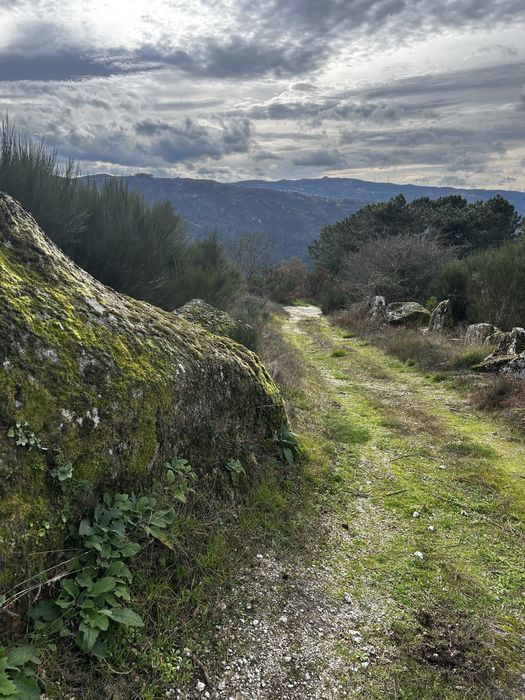 Terreno com Ruina - Serra do Marão