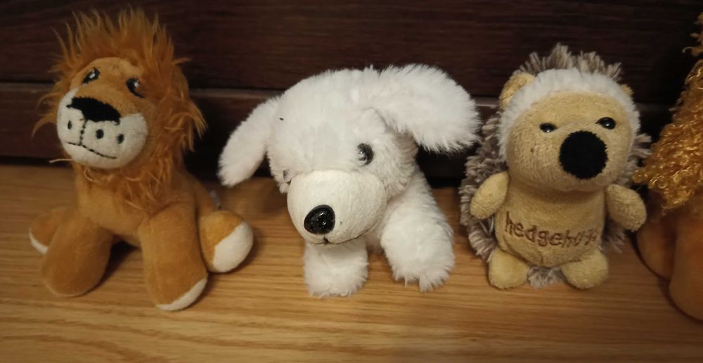 zestaw 6 maskotek zwierząt