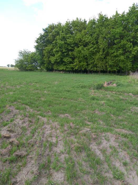 Działki budowlane na sprzedaż – Świeca, gmina Odolanów - Widok 4