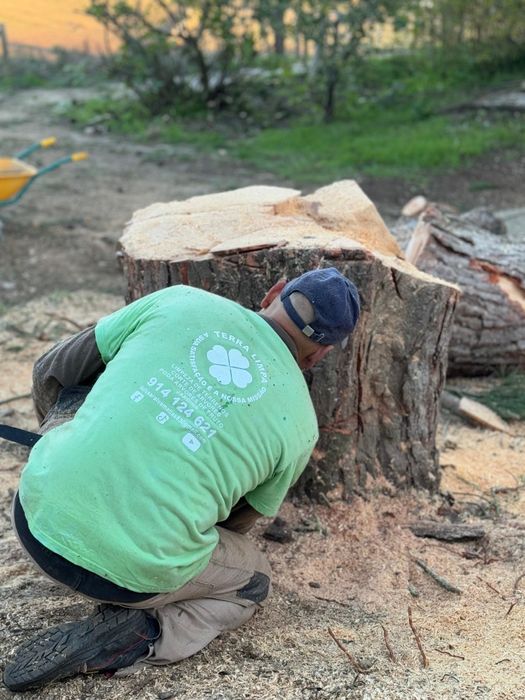 Limpeza de terreno jardim