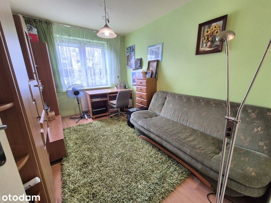 Zdjęcie 7