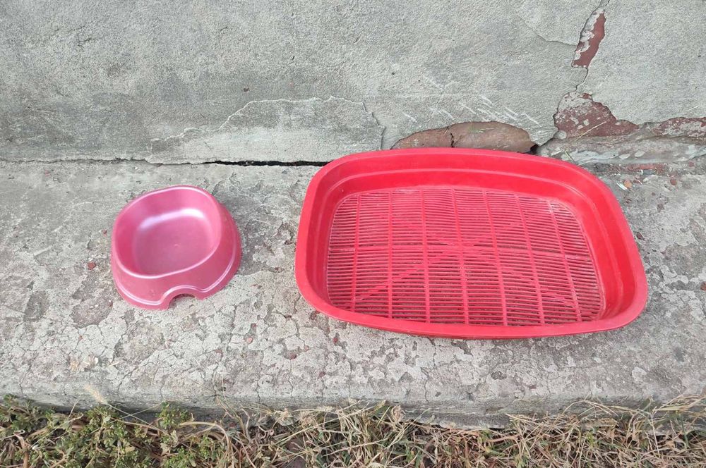 Миска и сетка для котов.