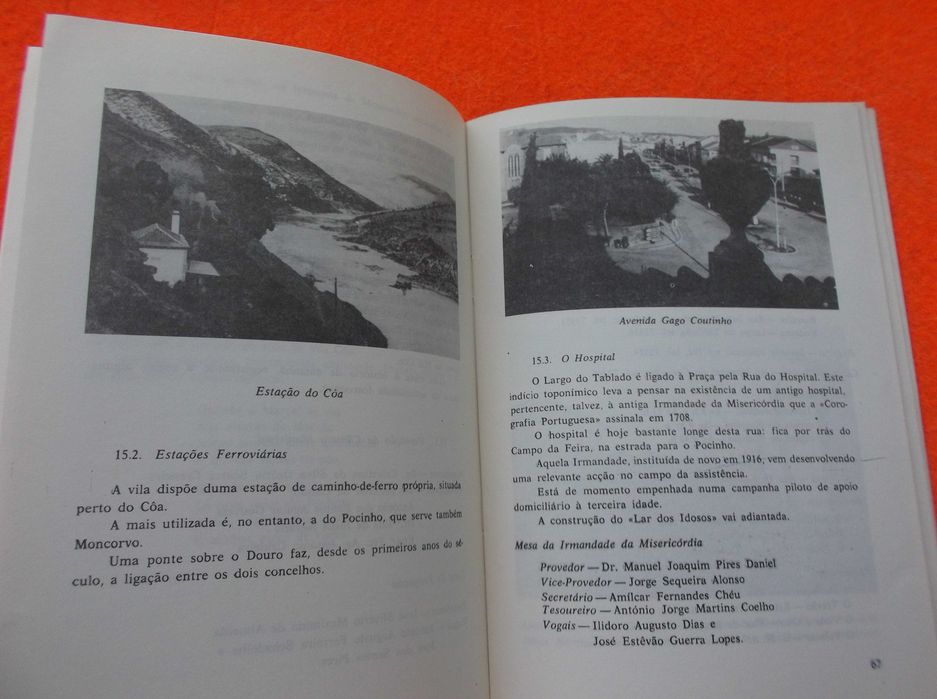 Elementos para uma monografia de Vila Nova de Foz Côa