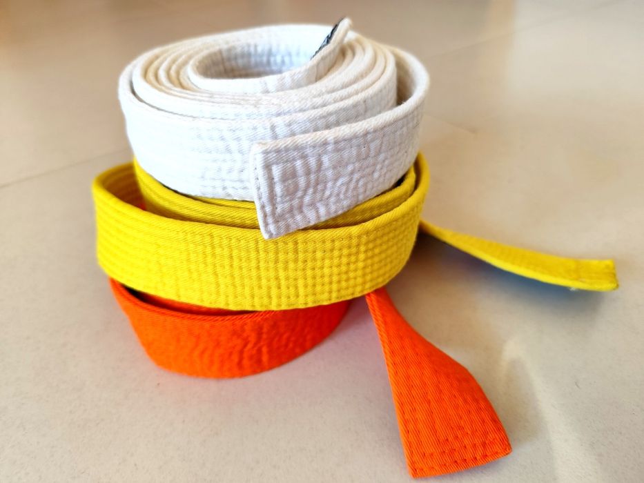 Lote de 3 cintos de Artes Marciais (Karate)