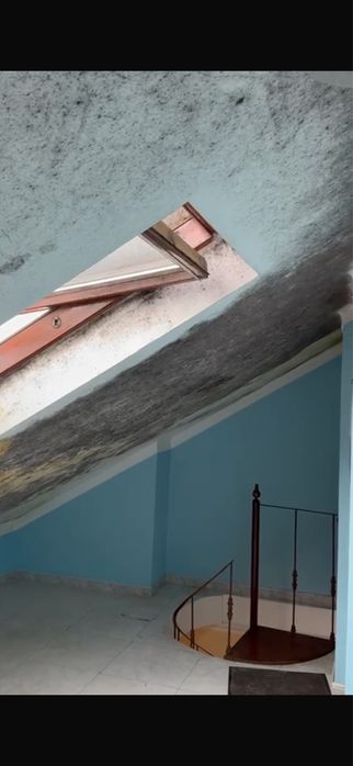 Limpezas Profundas, Limpeza semanal