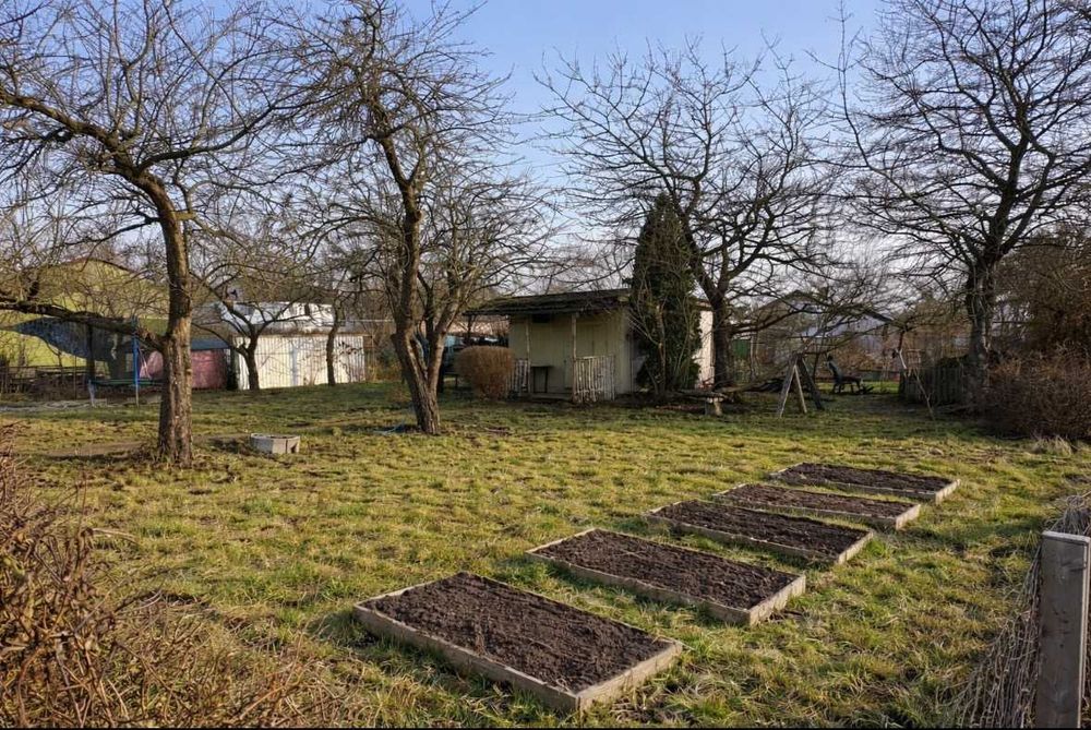 Działka ROD Centralny Koszalin - Widok 5