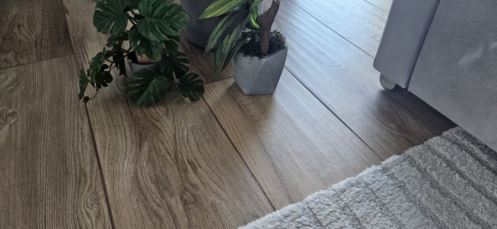 Sztuczne rosliny  dom