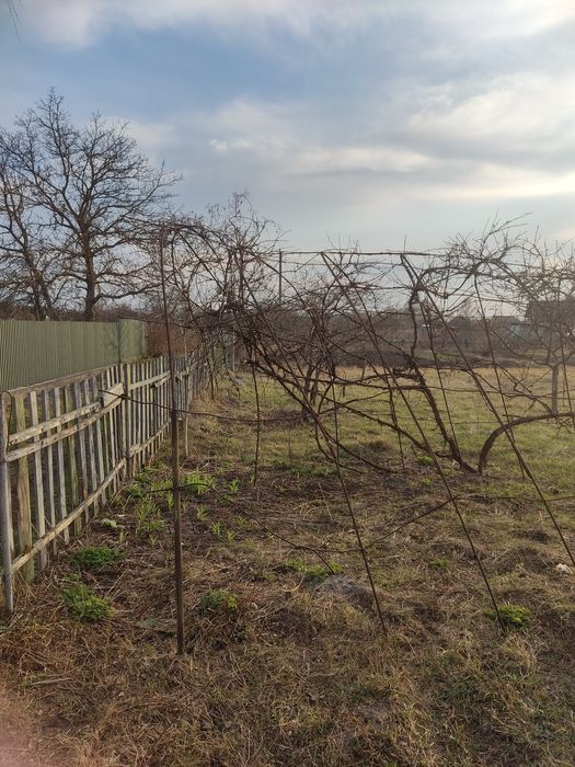 Земельна ділянка дачного типу