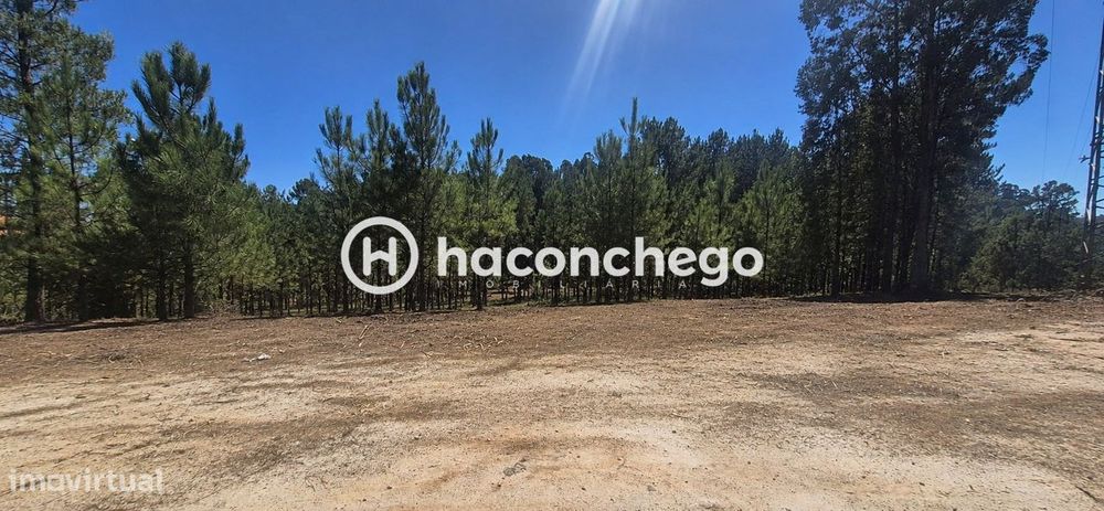 Terreno  Venda em Ucha,Barcelos