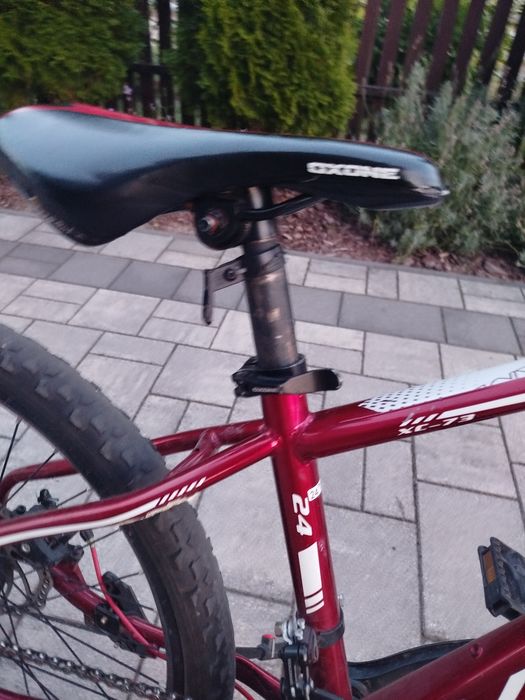 Rayon Viper Czerwony 24'' 2X Disc