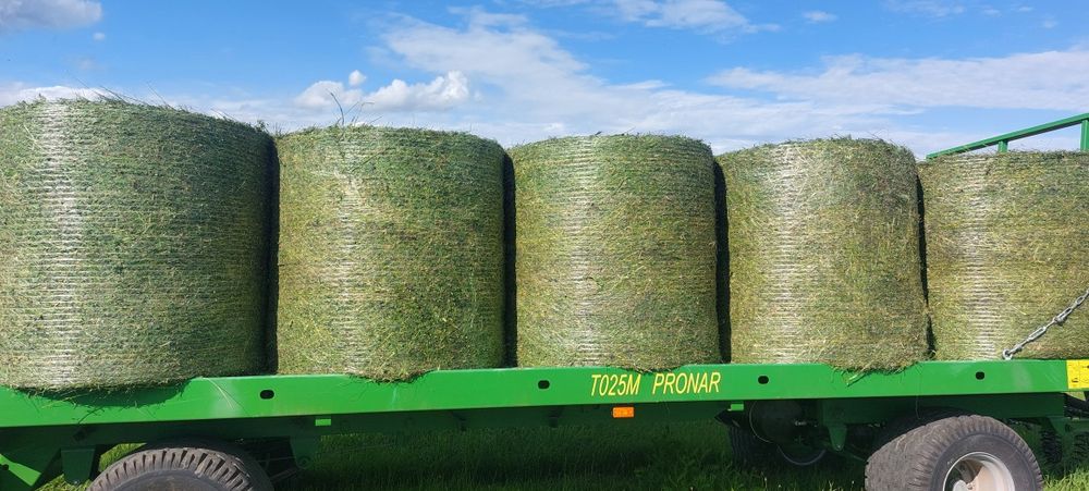 Sianokiszonka z traw z koniczyną  i lucerną owinieta folią