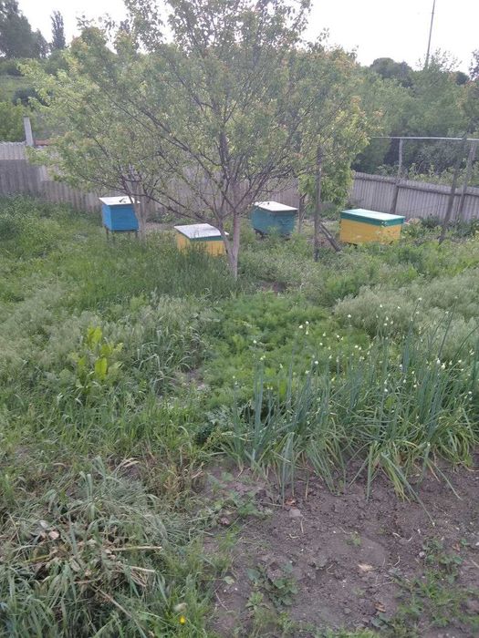Продам будинок в селі Мілова