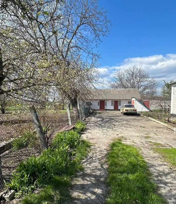 ‼️Без комісії ! Продам добротний будинок в с. Чупира поруч з трасою Київ -Одеса