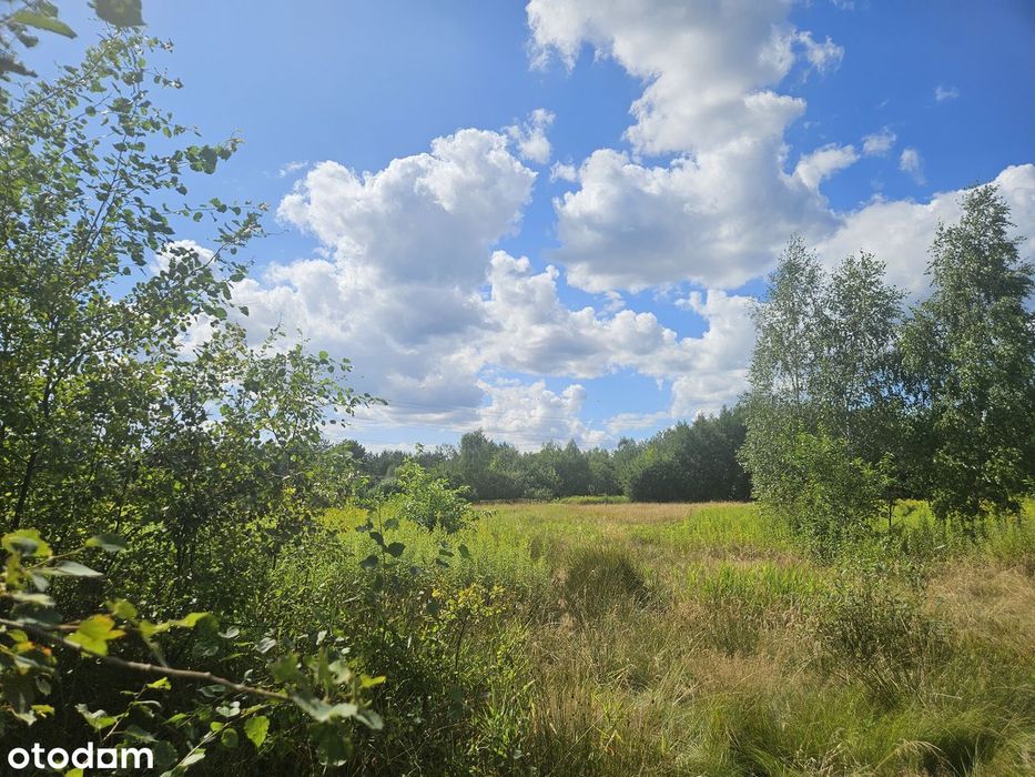 Działka budowlana w Malcanowie - Widok 5