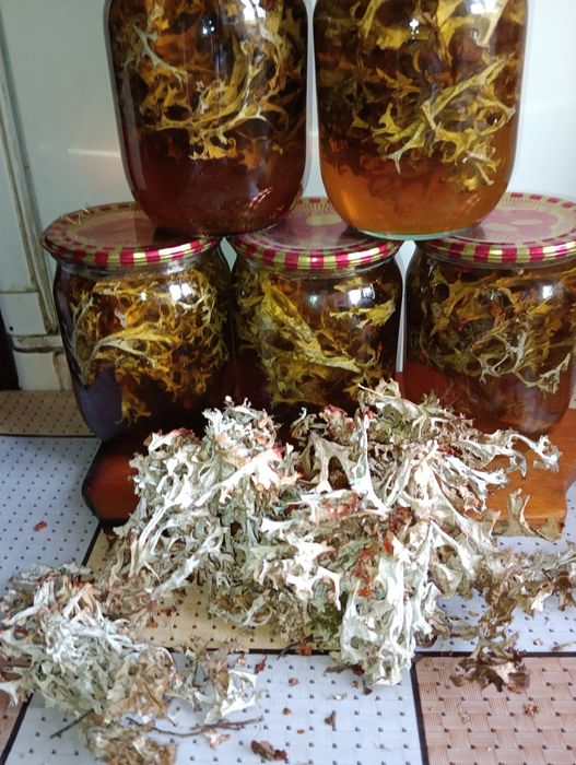 Мед з ісландським мохом,сироп з кульбаби, мёд с одуванчика