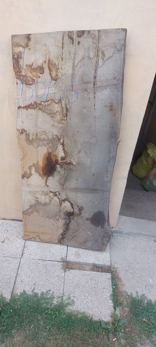 Monolity, blaty, foszty dębowe suche  210/65/5cm