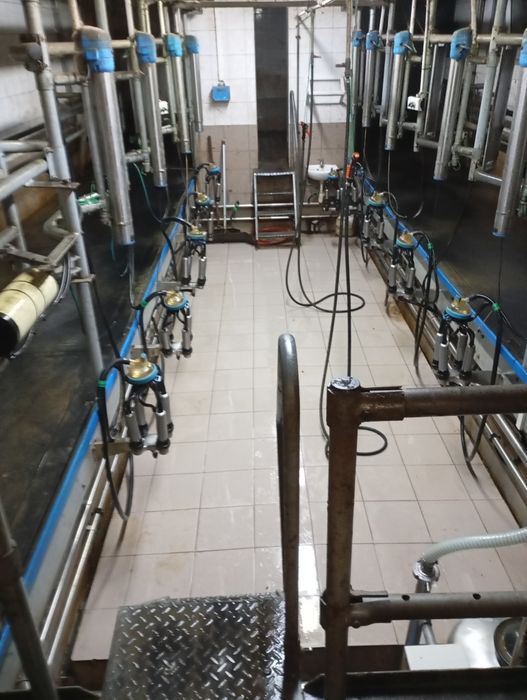 Kompletna hala udojowa 2×5