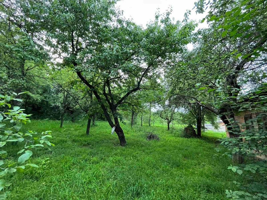 Будинок серед Карпат! 272 м² у с. Кути, можна під держ. програми _RR