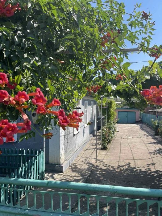 Житловий будинок