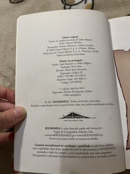 Gato fantástico e a pedra mágica