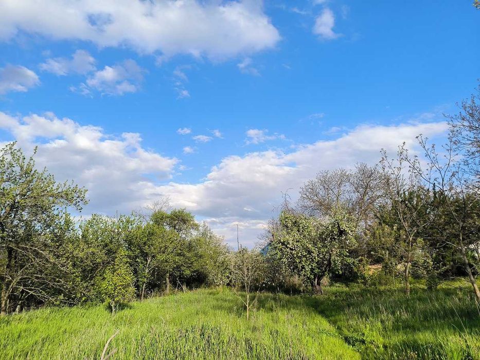 Продам будинок 40 сот.землі  Сквирський р-н с. Антонів  Київська обл.