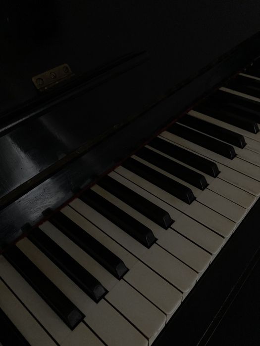 Lekcje z gry na pianinie dla maluszków, dzieci i mlodzieży