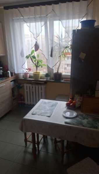 Zdjęcie 8