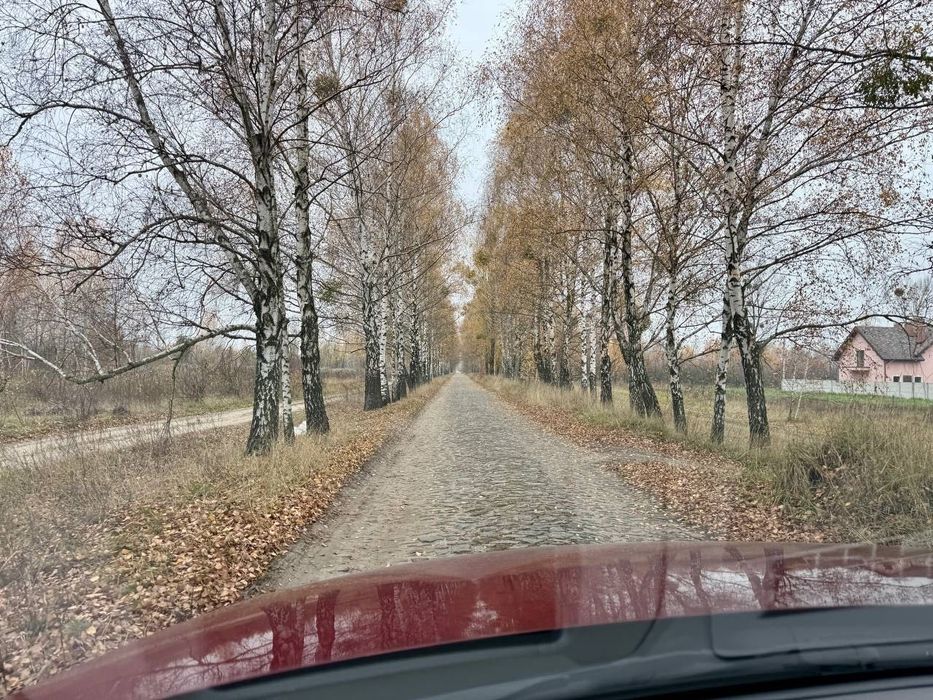Дмитрівка. 8 сот Під Будівництво. З СОСНАМИ. Без комісії